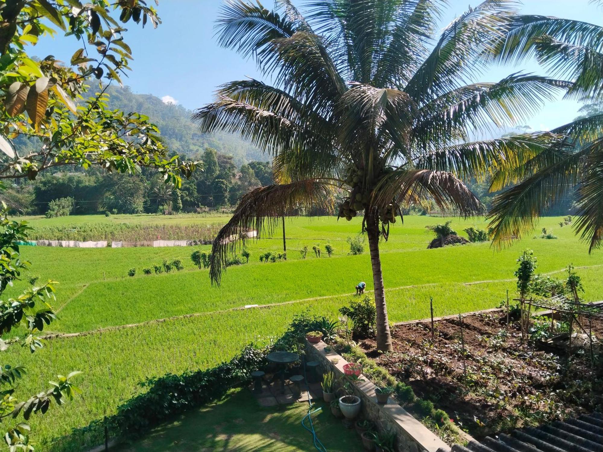 Ella Nature Valley Homestay Exterior foto